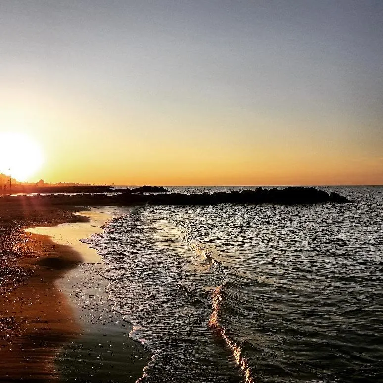 Hotel Holiday Sunshine Summer Misano Adriatico